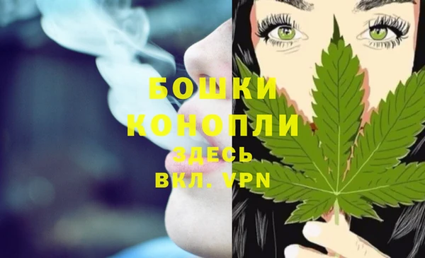 сатива Балахна