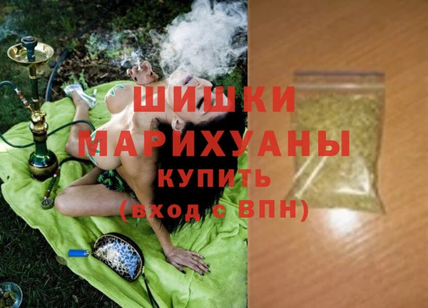 сатива Балахна