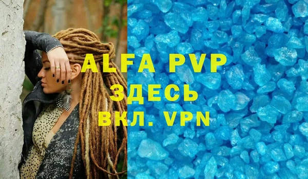 сатива Балахна
