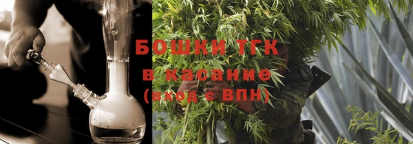 сатива Балахна