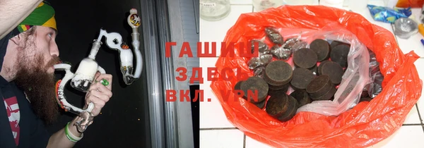 сатива Балахна