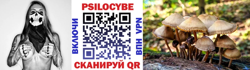 мега ссылка  Солигалич  Псилоцибиновые грибы мухоморы 